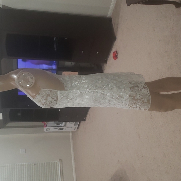 Delicately feminine lace & mesh fitted mini dress semi sheer - Picture 8 of 8